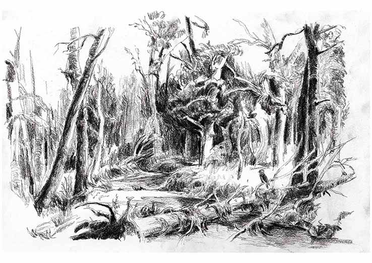 foretsauvage